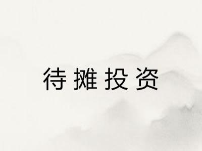 待摊投资
