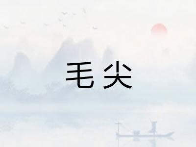 毛尖