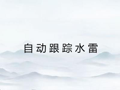 自动跟踪水雷