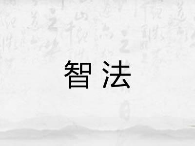智法