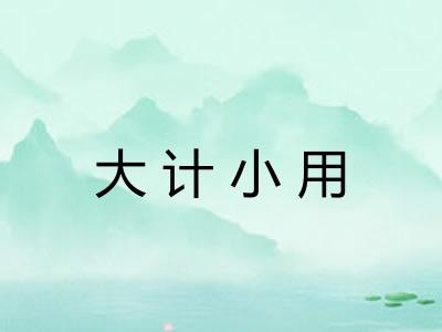 大计小用