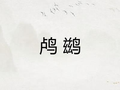 鸬鹚