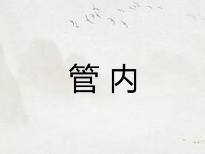 管内