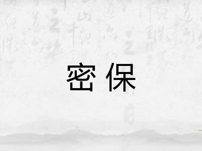 密保