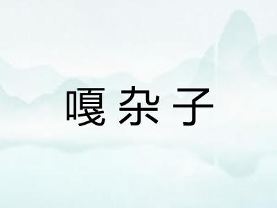 嘎杂子