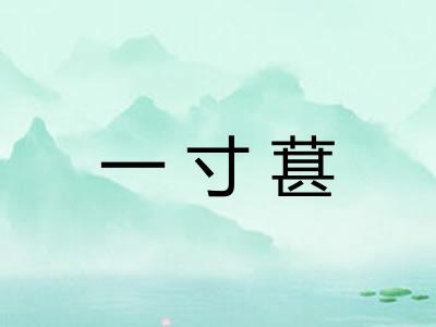 一寸葚