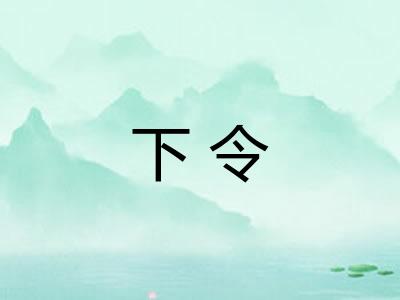下令