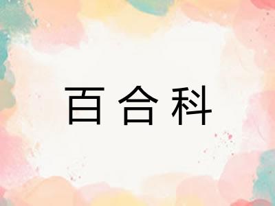 百合科