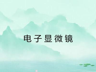电子显微镜