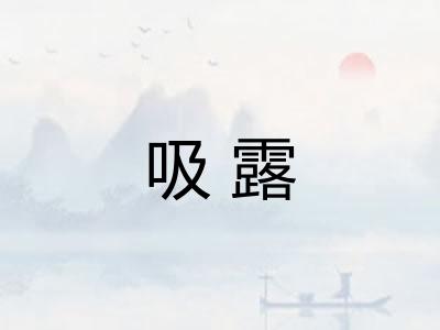 吸露