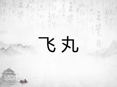 飞丸
