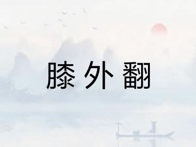 膝外翻