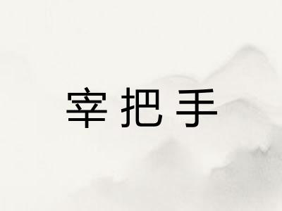 宰把手