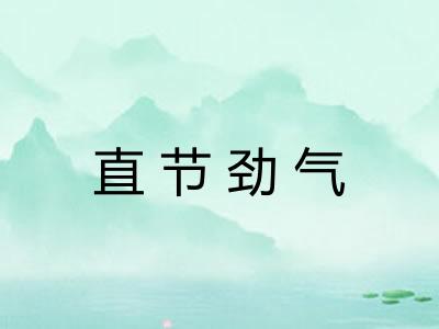 直节劲气