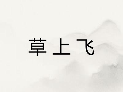 草上飞