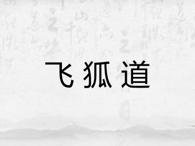 飞狐道