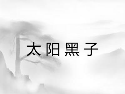 太阳黑子