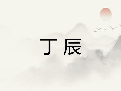 丁辰