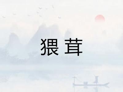 猥茸