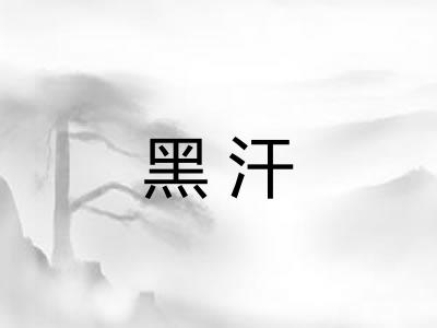 黑汗