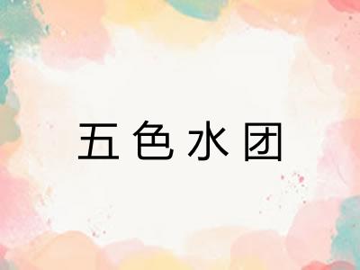 五色水团