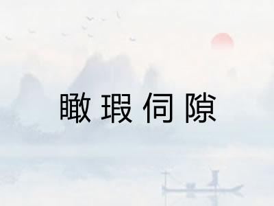 瞰瑕伺隙