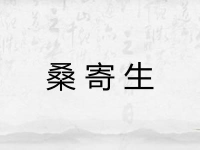 桑寄生