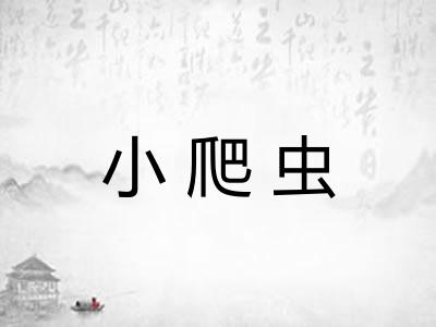 小爬虫