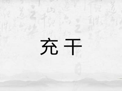 充干