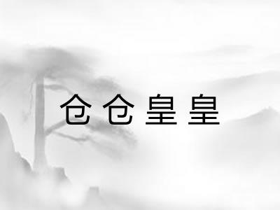仓仓皇皇