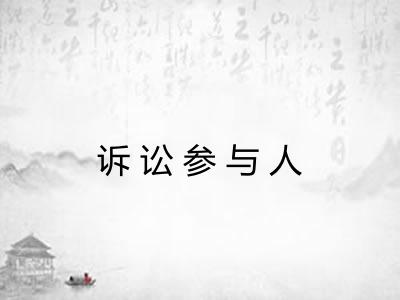 诉讼参与人