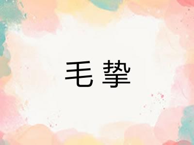 毛挚