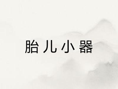 胎儿小器