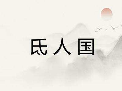氐人国