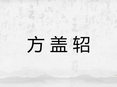 方盖轺