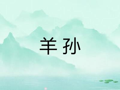 羊孙