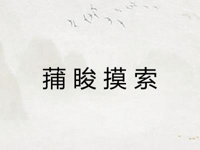 蒱睃摸索