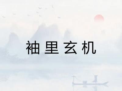 袖里玄机