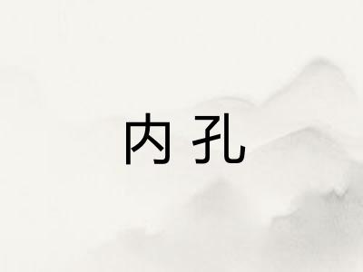 内孔