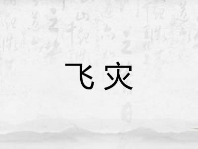 飞灾