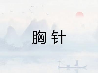 胸针