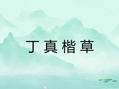 丁真楷草