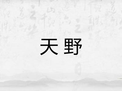天野