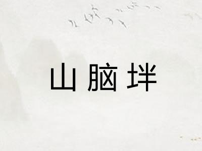 山脑坢