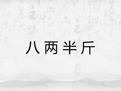 八两半斤