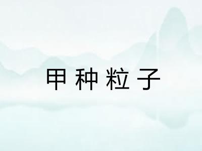 甲种粒子