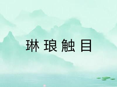 琳琅触目