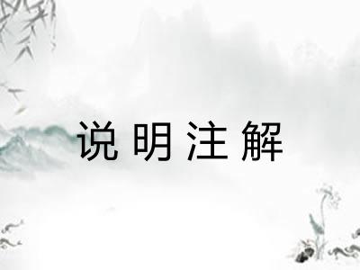 说明注解