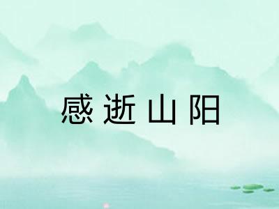 感逝山阳