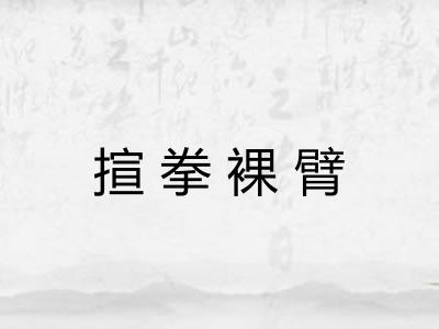 揎拳裸臂